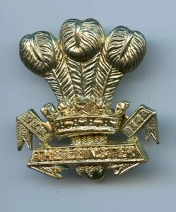 The Leinster Regiment Cap Badge - Picture 1 of 2