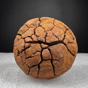 398Gr Ball Septarium Dragon Stone Septarian like Brain Crystal Rough Mineral - Picture 1 of 13