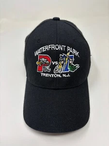 Waterfront Park Trenton Thunder Portland Sea Dogs Black Adjustable Hat New Era - Picture 1 of 3