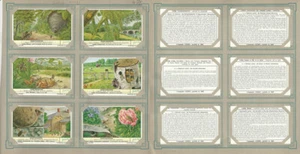 Liebig, Set 6 Cards, F1736, 1960, Insect Nest, Wasp, Bee - Picture 1 of 1