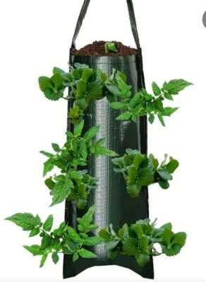 Plastic Tomato/Strawberry Hanging Planter Flower Pouch Trailing Plants Grow Bag - Image 1 of 3
