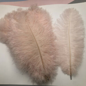 Wholesale, beautiful 10-100pcs special color ostrich feathers 6-16inches/15-40cm