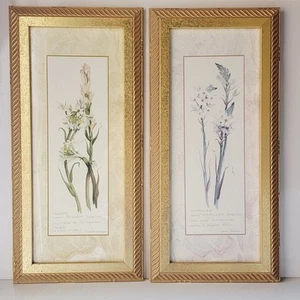 23x11 Carol Robinson Botanical Floral Prints – Gold Rope Frames – Serene Pastel - Picture 1 of 12