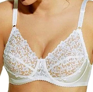 Wacoal 85109 Vintage 34DD Ivory Lace & Mesh Semi Sheer Unlined Underwire Bra - Picture 1 of 3