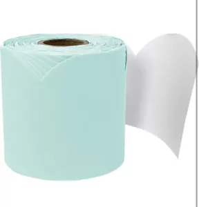 Carson Dellosa 65 Feet Mint Green Bulletin Board Borders, Scalloped Border Trim, - Picture 1 of 10