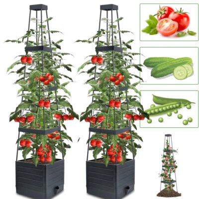 2x Maceta Cama Jardín Elevada con Enrejado 55" Macetas Tomate Jaula Tomate Foto 1 de 4