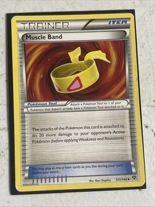 Muscle Band 121/146 XY Regular Mp - Picture 1 of 2
