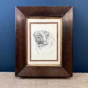 ANTIQUE VINTAGE ILLUSTRATION DRAWING OF A PUG DOG SIGNED BY ARTIST IN WOOD FRAME - Picture 1 of 9