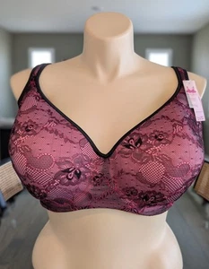 NWT Cacique 44H Black & Pink Lace Balconette Underwire Bra - Picture 1 of 13