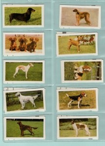HORNIMANS DOGS 1961 FULL SET of 48 tea cards 