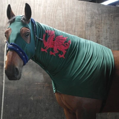 WHINNY WOOF WEAR GREEN Proud to be Welsh Horse Hood with red Dragon