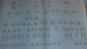 Familie Güntzel Original Stammbaum mit Wappen 70er Jahre - Bild 1 von 3