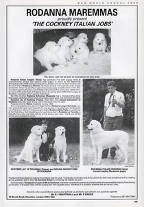 MAREMMA DOG 1993 DOG BREED ADVERT PAGE RODANNA KENNELS - Picture 1 of 1