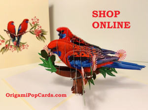 Origami Pop Cards Crimson Rosella Pop Up Greeting Card Merry Christmas Australia