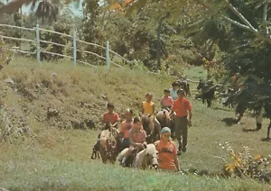 CUBA, LENIN PARK, HABANA, UNA POSTAL COMO NUEVA, ALREDEDOR DE 1980 - Imagen 1 de 2