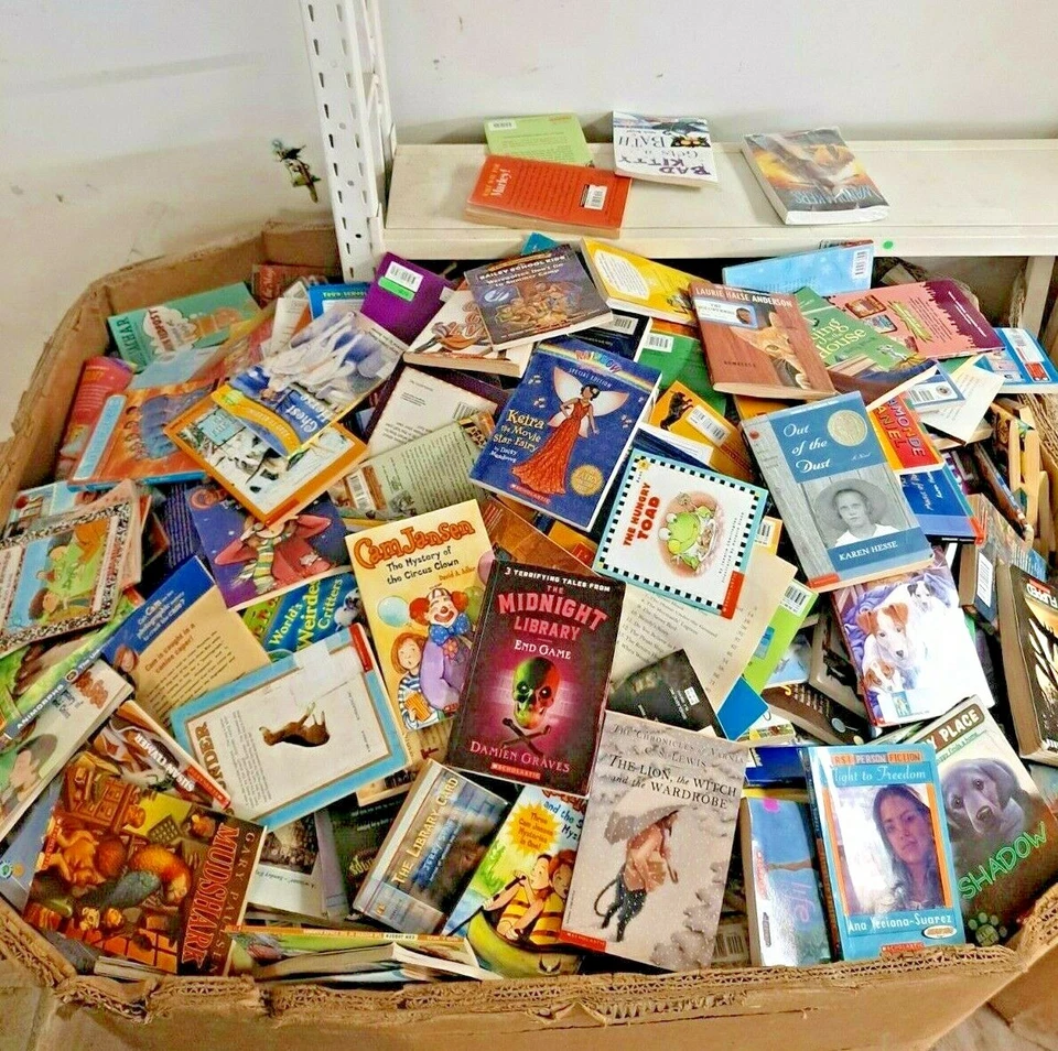 Lot of 30 RANDOM Children's Kids Chapter Books Instant Library Unsorted bundle Foto 1 de 3