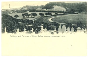 HONG KONG OLD PPC = HAPPY VALLEY-CEMETARY-RACE COURSE = VF  - Picture 1 of 2