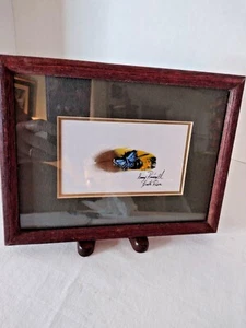 Framed Genuine Folk Art Painting Feather Artist Signed Costa Rica Butterfly - Picture 1 of 9