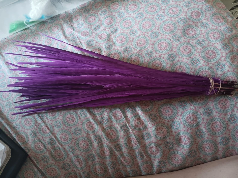  52 purple bleached zebra pheasant feathers - Image 1 of 1