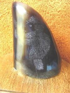 (ak-moose-113) GENUINE MOOSE HOOF Porcupine etched Alaskan Eskimo art signed - Picture 1 of 3