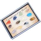 Rock & Mineral Collection  Science Kit Geowissenschaftliches Spielzeug -
