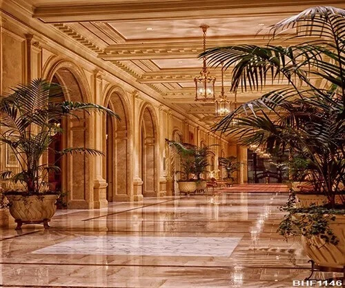 Fondo de tela de microfibra para árbol del corredor del Gran Palacio Huayi BHF1146 Foto 1 de 4