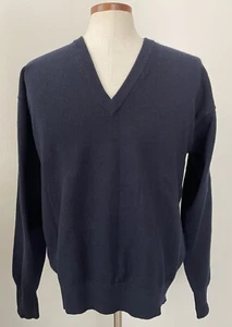 Pendleton Machine Washable Wool Sz XL Mens V-Neck Sweater Blue - Picture 1 of 6