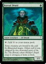 WOTC MtG Coldsnap Boreal Druid (C) NM