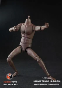 HAOYU TOYS T01 1/6 Male Body Model Black Skin Figure Toy for 12" Action Doll - Picture 1 of 8