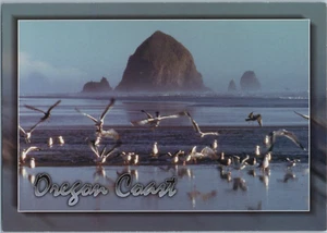 Cartolina Costa dell'Oregon e Gabbiani - Foto 1 di 2