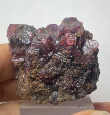 RUBIN SAPHIR Kristall (109gr) Ruby Sapphire Crystal Winza, Tanzania - Bild 1 von 4
