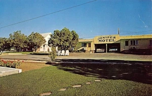 JUNIPER MOTEL & TRAILER PARK Prescott, Arizona Roadside c1960s Vintage Postcard - Picture 1 of 2