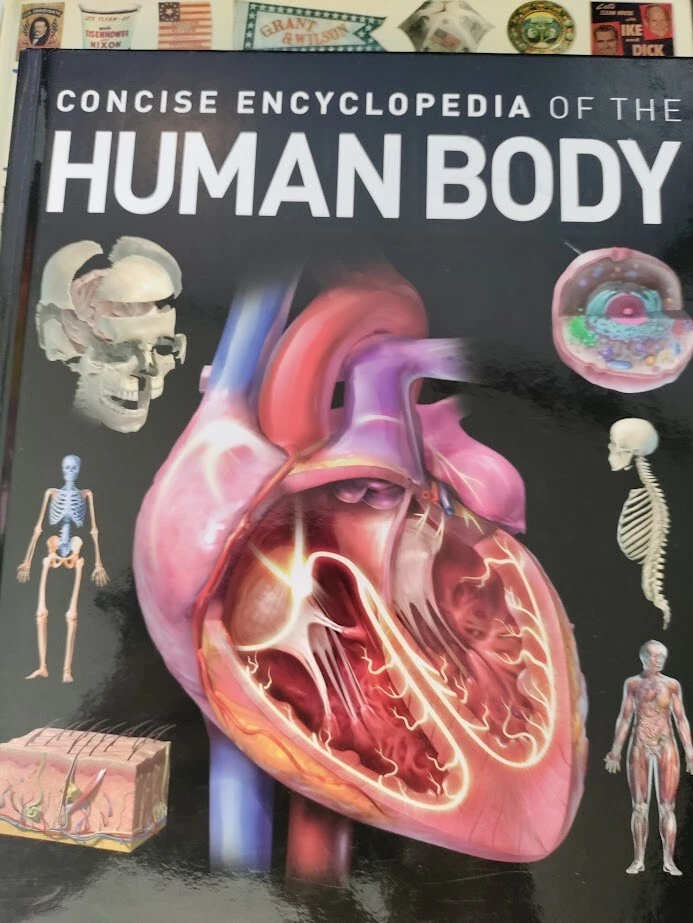 Concise Encyclopedia of the Human Body by Weldon Owen Red Lemon Press - Image 1 of 1