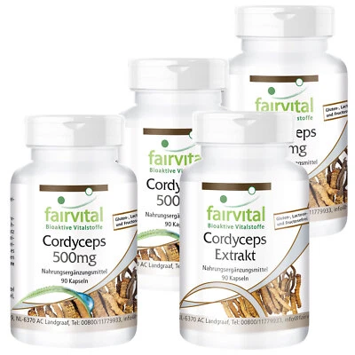 Cordyceps 4 x 90 Kapseln für 1/4 Jahr | 3 x Pilzpulver + 1 x Extrakt | fairvital - Bild 1 von 4