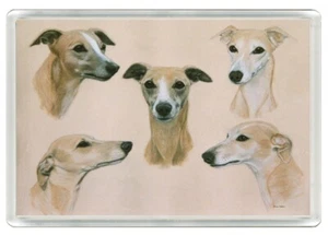 WHIPPET BEAUTIFUL DOGS DOG ART HEAD STUDY PRINT NOVELTY FRIDGE MAGNET GREAT GIFT - Picture 1 of 1