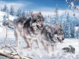 WOLFSPAAR MIT JUNGEN - 3D BILDDRUCK 400mm x 300mm - Bild 1 von 2