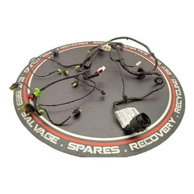 MASERATI GRANTURISMO DOOR WIRING LOOM M145 GRANCABRIO MC FRONT LEFT  272865 - Image 1 of 4