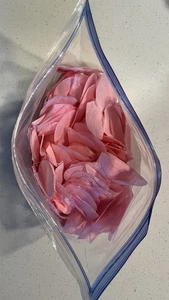 Sleep Token 100 + Lot rose petals Minneapolis Minnesota 10/01/25 Concert Tour - Picture 1 of 2