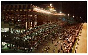 Pompano Beach FL Horse Racing Grandstand People Night Vintage Chrome Postcard - Picture 1 of 3