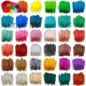 100 pcs 10-15cm colour Goose Feathers Decorative DIY Jewelry Decoration Carnival - Picture 1 of 47