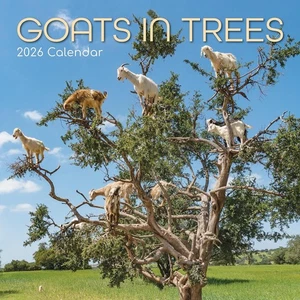 CABRAS EN ÁRBOLES - CALENDARIO DE PARED 2026 - NUEVO - 223832 - Imagen 1 de 2