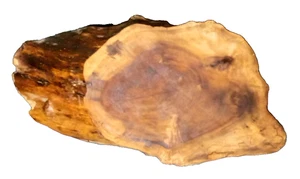 FIGURED MYRTLEWOOD BLANK LIVE EDGE TURNING WOODWORKING APPROX 33x17x4.25 IN - Picture 1 of 6