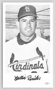 Nelson Briles 1960's St. Louis Cardinals Team Issued MLB Trading Photo Postcard - Picture 1 of 2