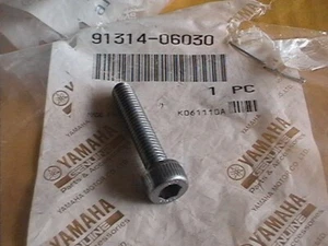 GENUINE YAMAHA M6x30 SOCKET CAP HEAD BOLT 91314-06030 BT1100 FZ6 TDM900 MT01 XJ6 - Picture 1 of 2