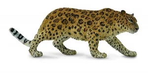 TIERE ANIMALS SAMMLUNG AMUR LEOPARD LEOPARD DER MANDSCHUREI 88708 - Bild 1 von 1
