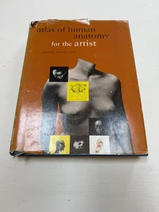 Atlas of Human Anatomy for the Artist 1974 Stephen Rogers Peck - Picture 1 of 15