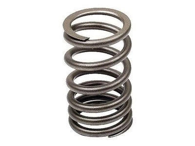 Muelle de válvula 92556PSPR para Volkswagen Thing 1973-1974 Foto 1 de 2