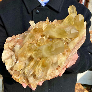 13,11 Pfund Natürliches Citrin Cluster Mineral Probe Quarz Kristall Heilung