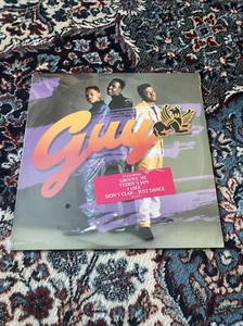 Guy (Self-titled) 12" LP, Groove Me, I Like, Teddy’s Jam, 1988 MCA-42176 SEALED - Picture 1 of 4