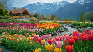 Leinwandbild Lebendige Tulpe Blumen Rot Gelb Bach Wandbild Poster Druck - Bild 1 von 22